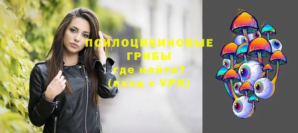 гидра Снежногорск