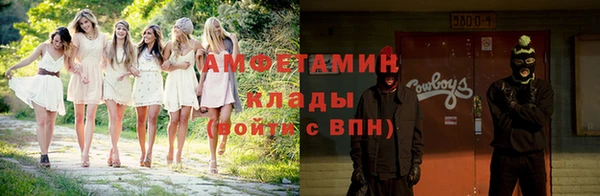 прущие грибы Семилуки